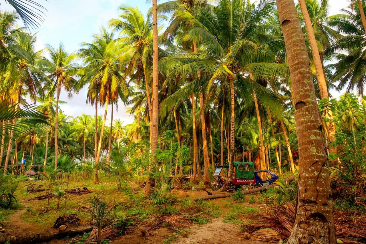 Efrena Agro Tourism Beach El Nido Exterior photo
